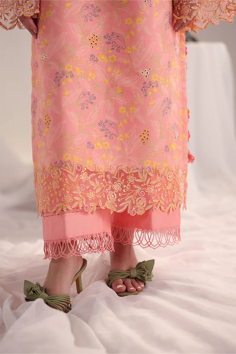 RANG RASIYA NOVA SUMMER ROSALIA
