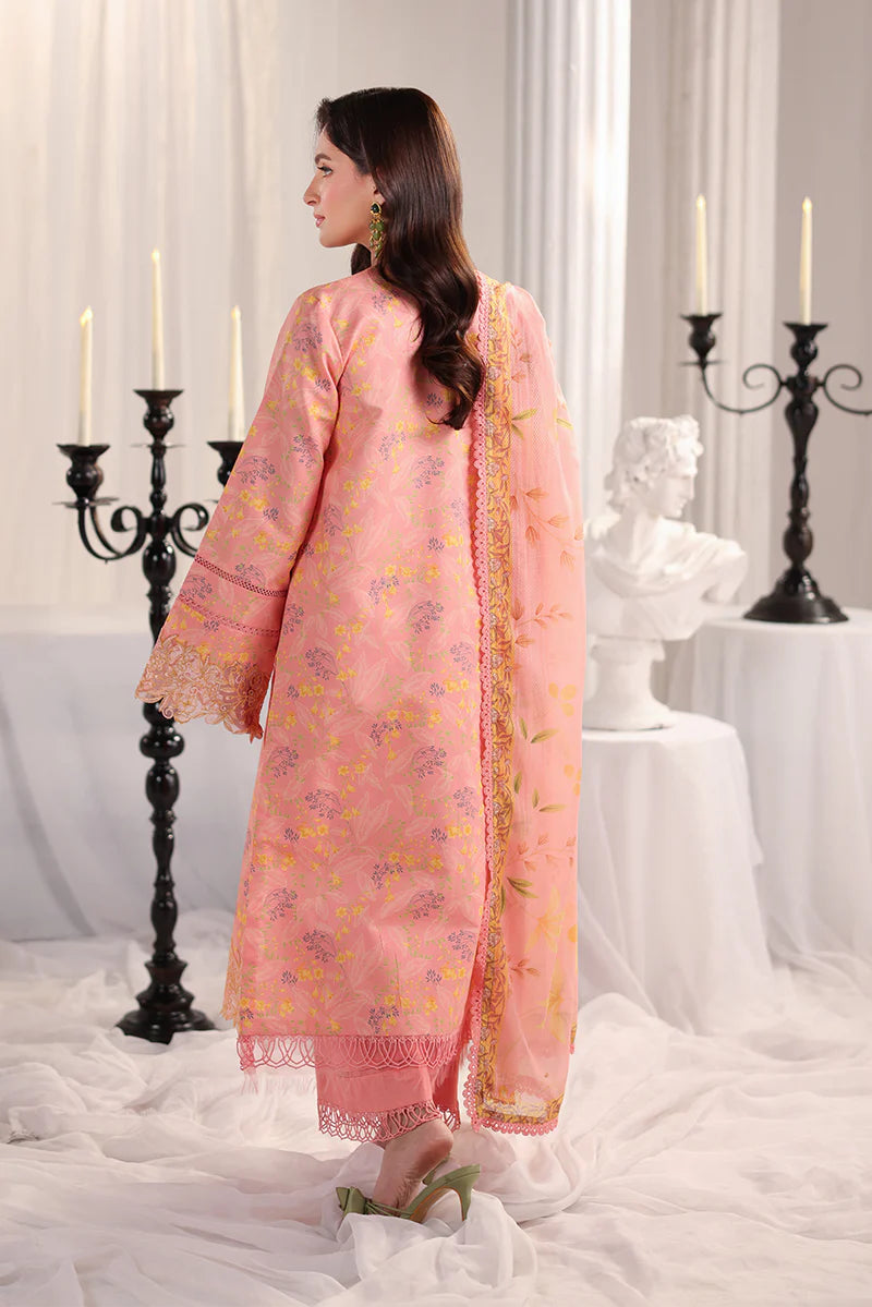 RANG RASIYA NOVA SUMMER ROSALIA