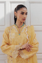 QALAMKAR QBP-06