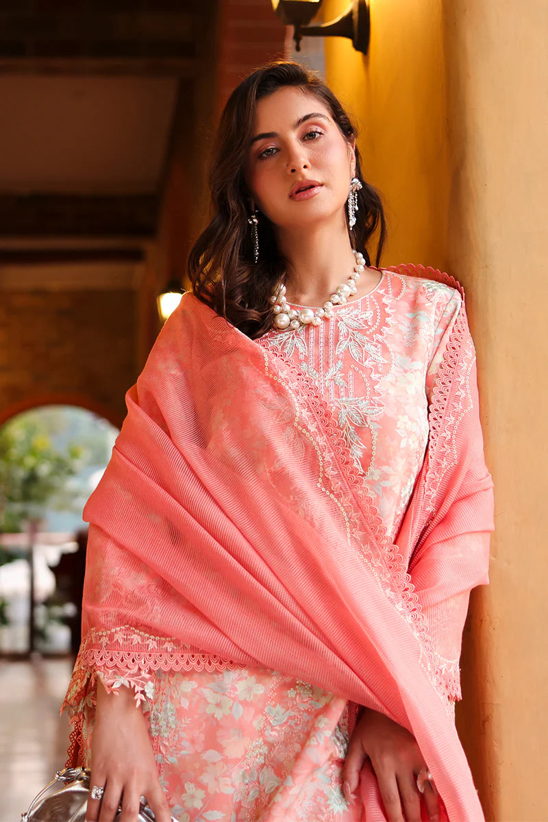 RANG RASIYA FLORENCE SUMMER SAFINA