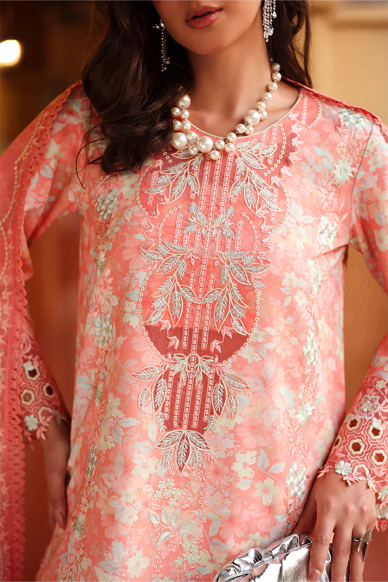 RANG RASIYA FLORENCE SUMMER SAFINA