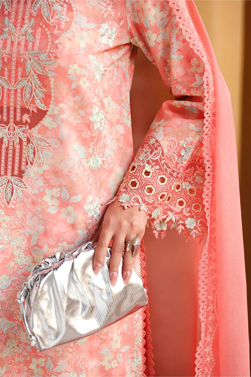 RANG RASIYA FLORENCE SUMMER SAFINA
