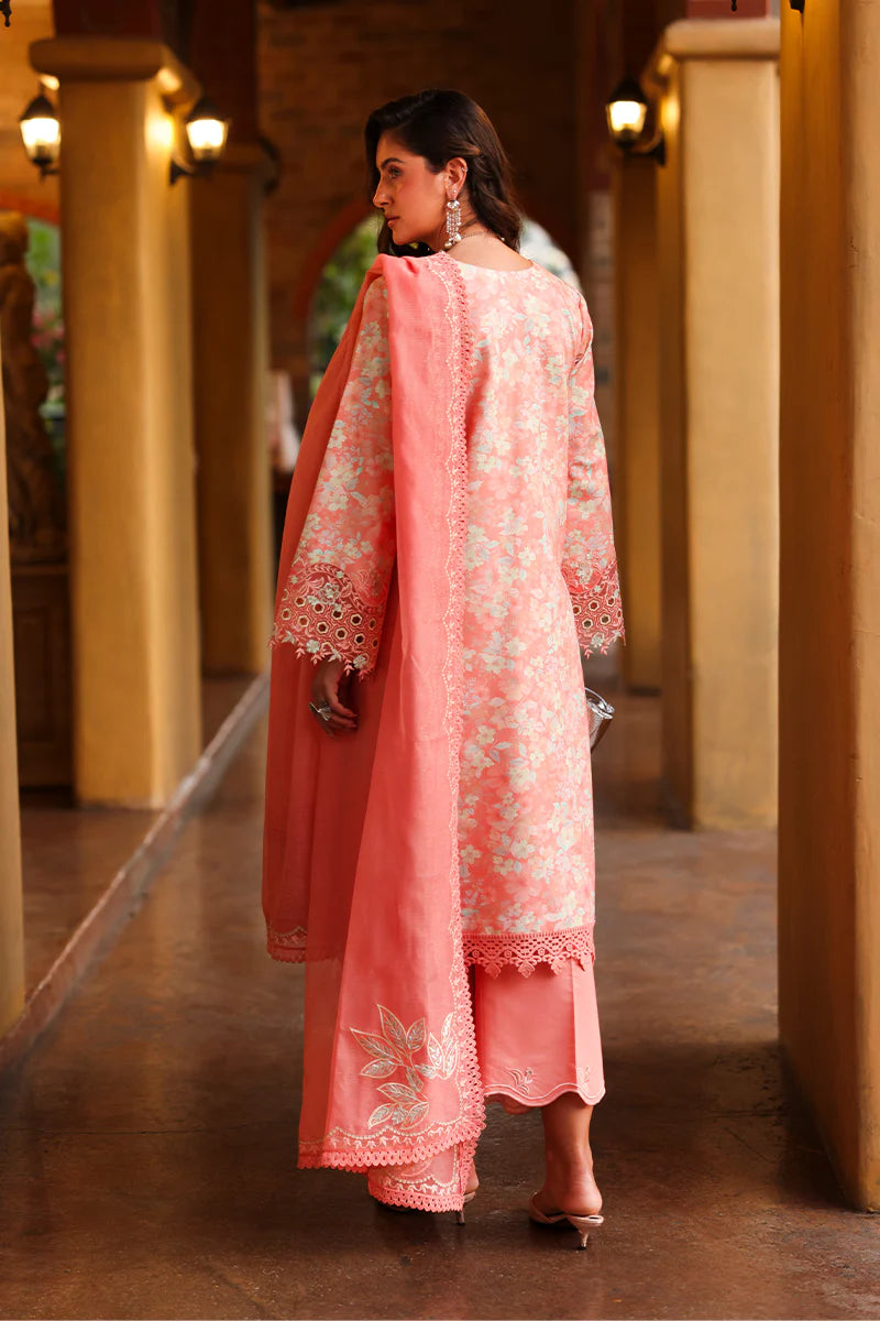 RANG RASIYA FLORENCE SUMMER SAFINA