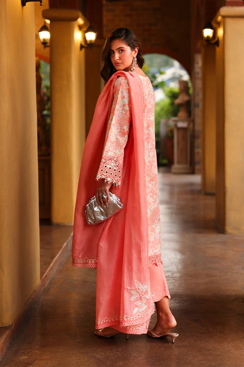 RANG RASIYA FLORENCE SUMMER SAFINA