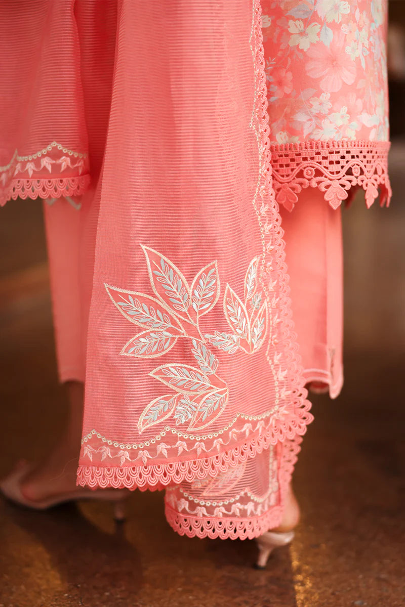 RANG RASIYA FLORENCE SUMMER SAFINA