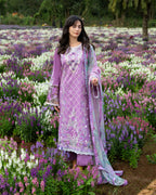 MUSHQ HIMELINE SECRET GARDEN SECRET THICKET
