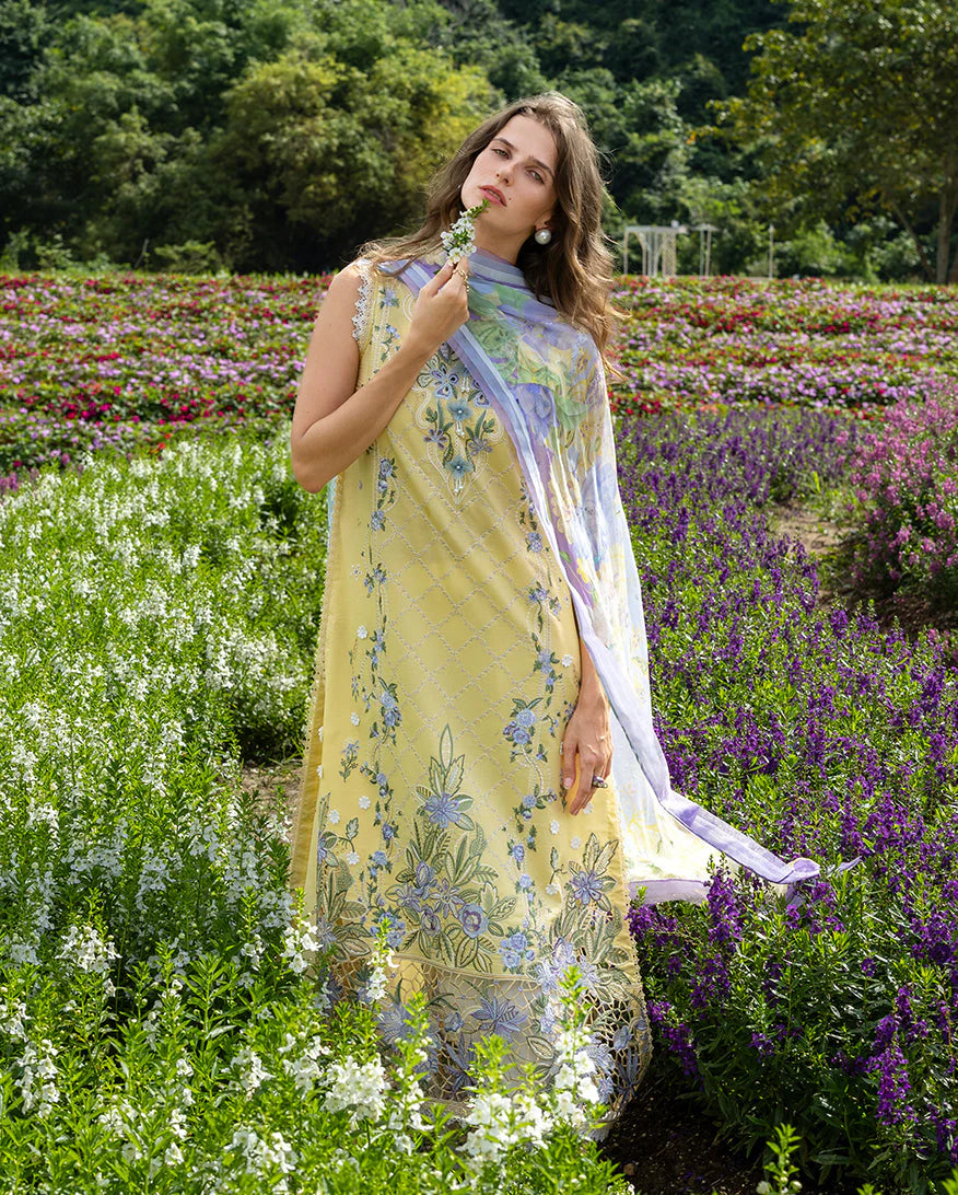 MUSHQ HIMELINE SECRET GARDEN SUNLIT MEADOW