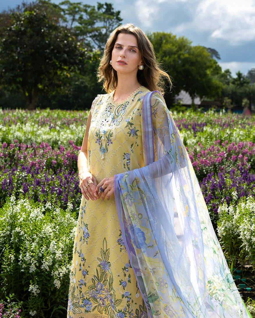 MUSHQ HIMELINE SECRET GARDEN SUNLIT MEADOW