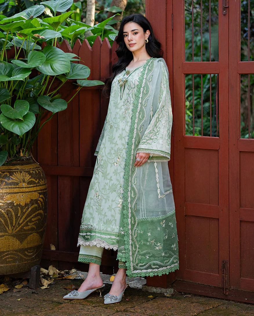 MUSHQ TERRA BELLE 3PC
