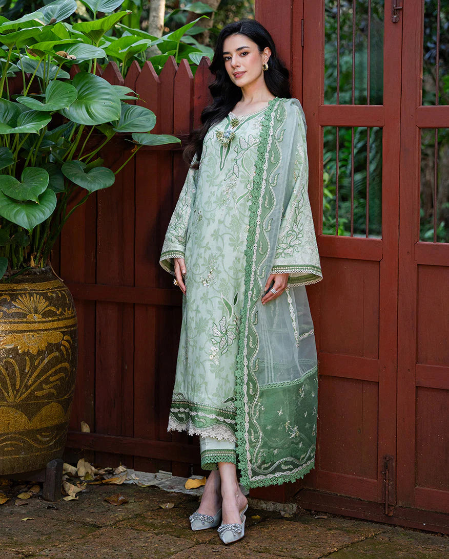MUSHQ TERRA BELLE 3PC