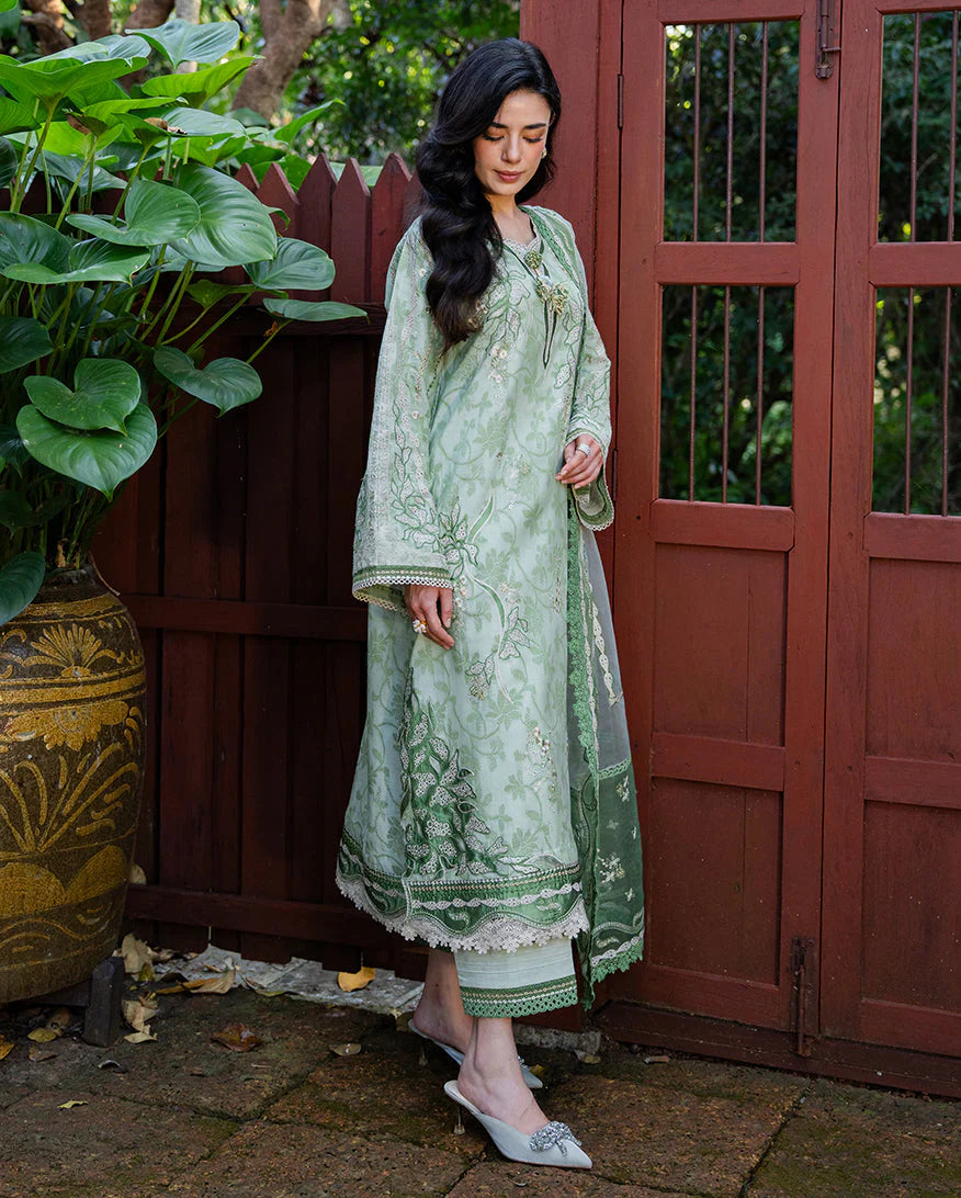 MUSHQ TERRA BELLE 3PC