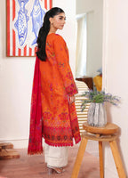 RAJBARI NISSA D-10