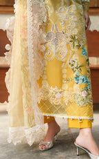 ASIFA NABEEL VERSA LUXURY VUL26-02