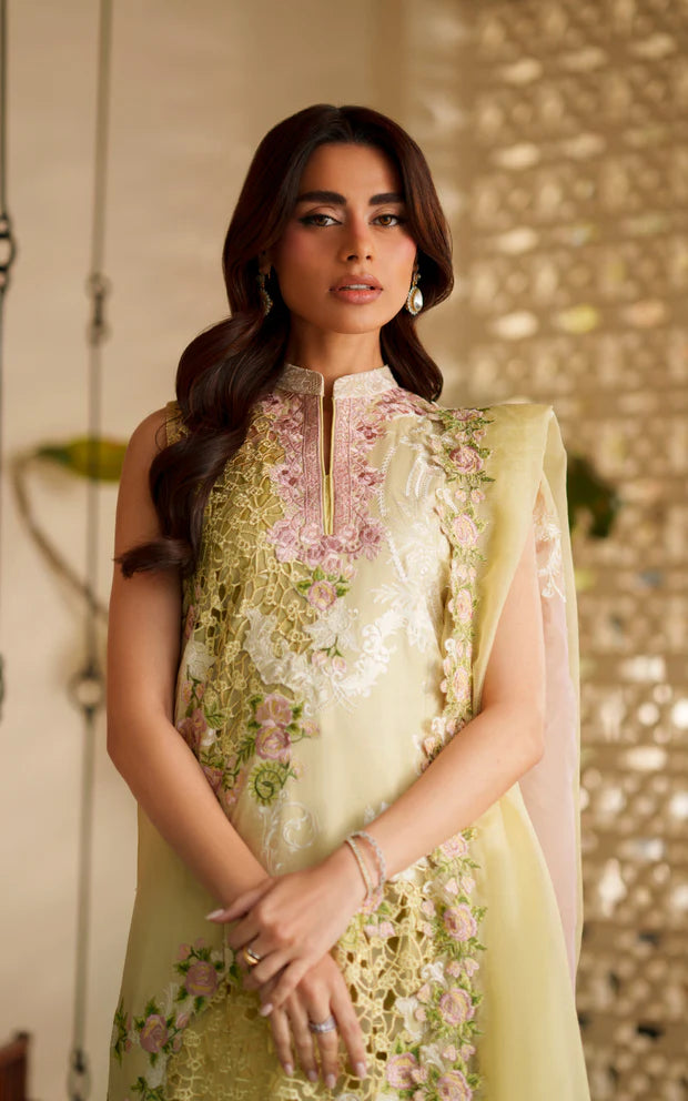 ASIFA NABEEL VERSA LUXURY VUL26-03