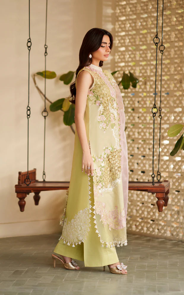 ASIFA NABEEL VERSA LUXURY VUL26-03