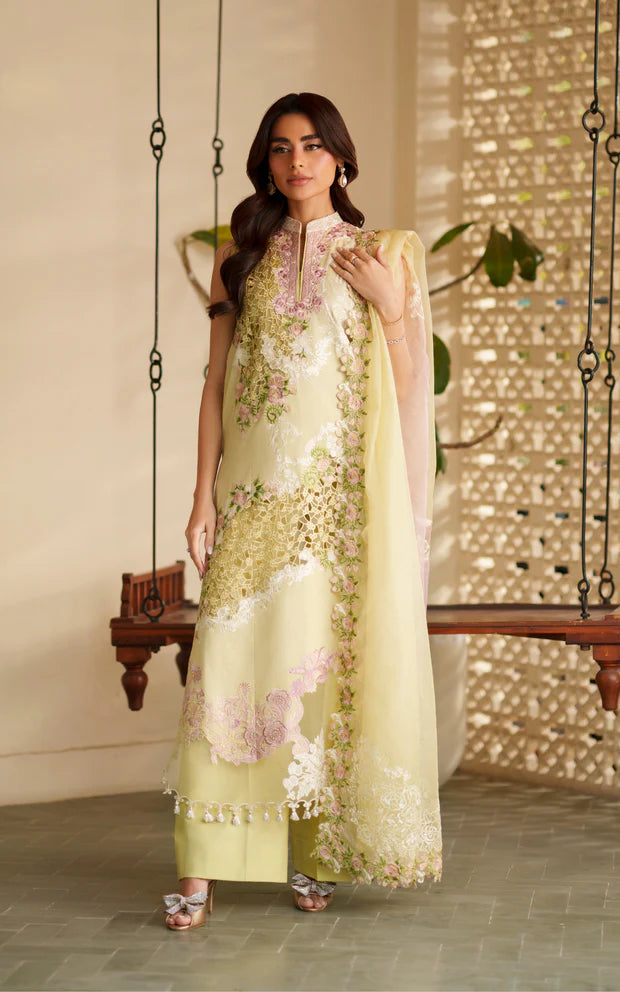 ASIFA NABEEL VERSA LUXURY VUL26-03