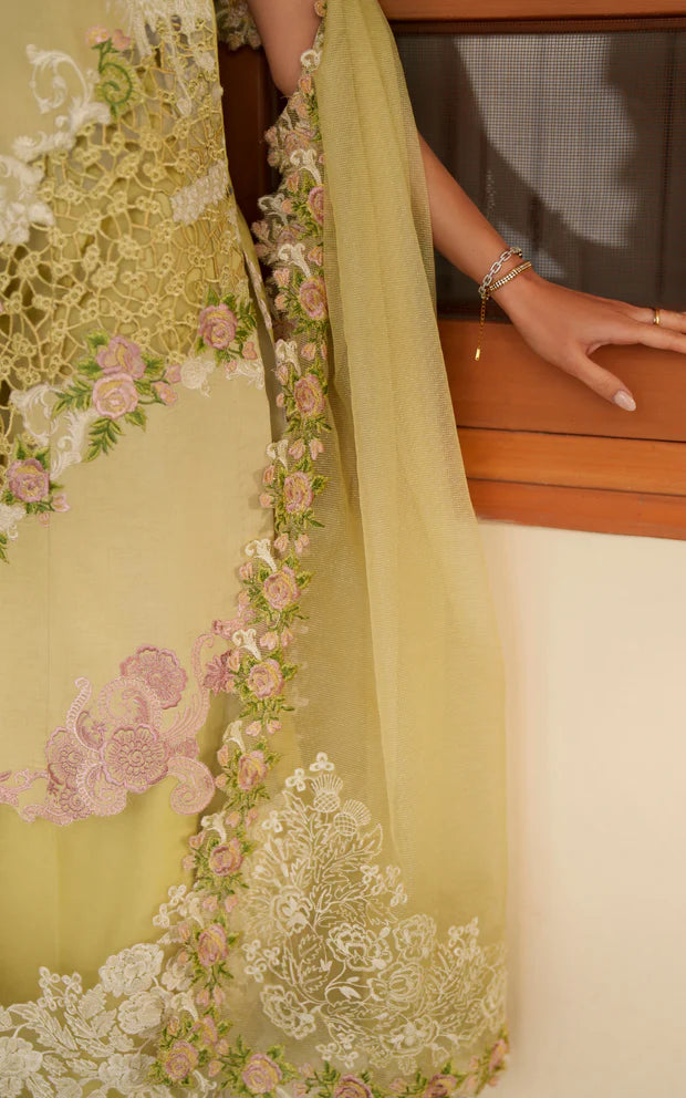 ASIFA NABEEL VERSA LUXURY VUL26-03