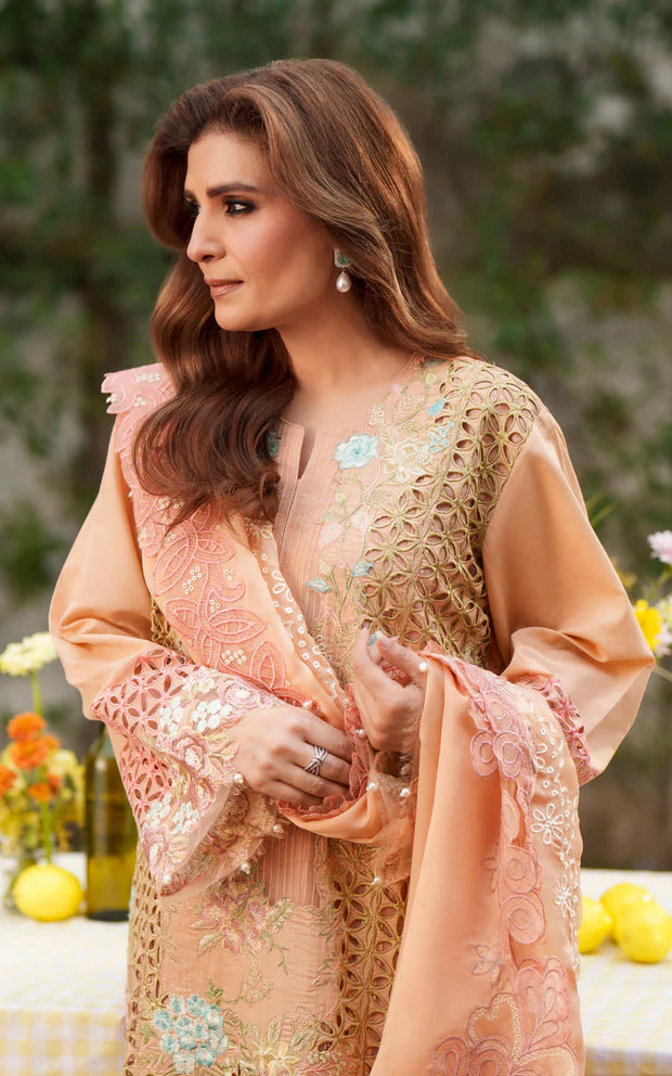 ASIFA NABEEL VERSA LUXURY VUL26-05