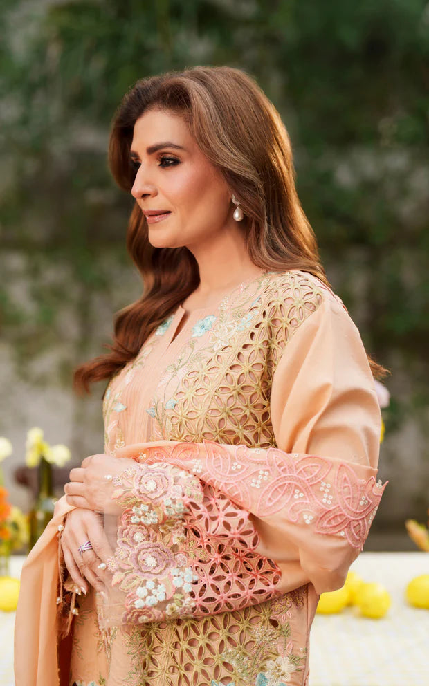 ASIFA NABEEL VERSA LUXURY VUL26-05