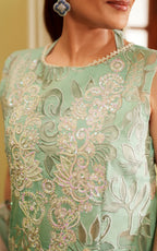 ASIFA NABEEL VERSA LUXURY VUL26-06