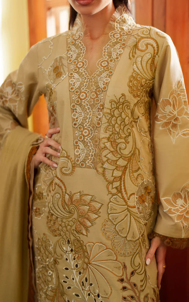 ASIFA NABEEL VERSA LUXURY VUL26-09