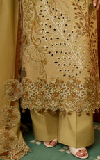 ASIFA NABEEL VERSA LUXURY VUL26-09
