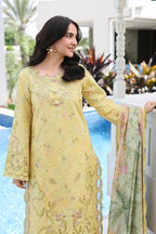 RANG RASIYA FLORENCE LUXURY FESTIVE YUMNA