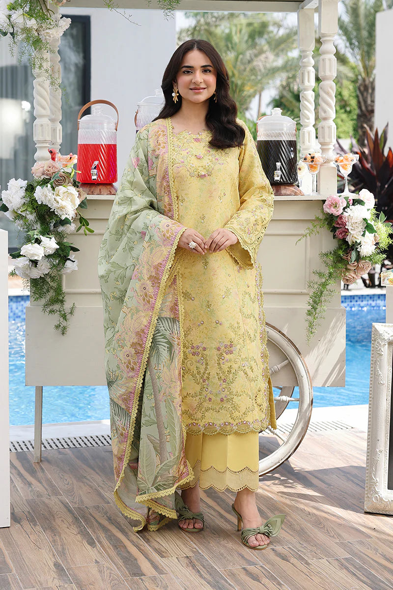 RANG RASIYA FLORENCE LUXURY FESTIVE YUMNA