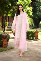 RANG RASIYA MEHARMA ZINNIA
