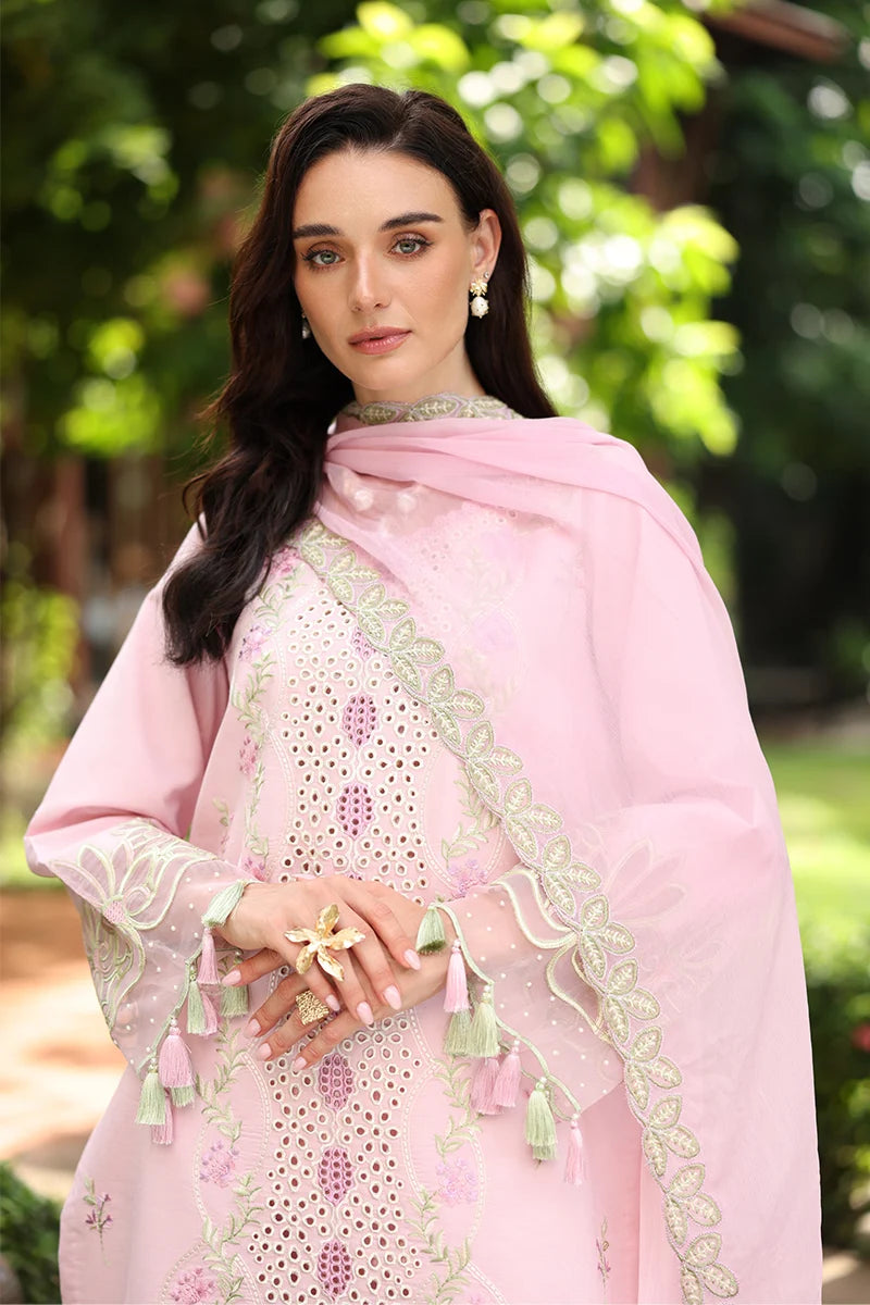 RANG RASIYA MEHARMA ZINNIA