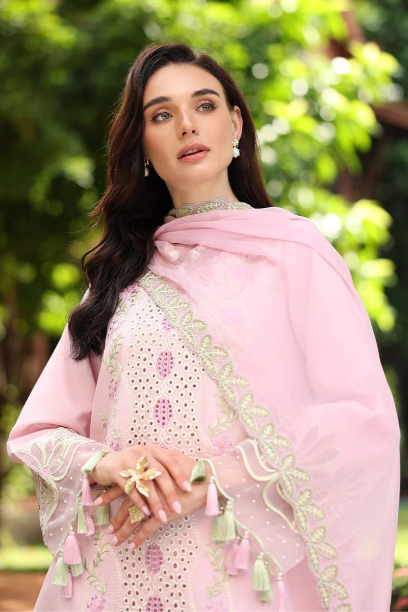 RANG RASIYA MEHARMA ZINNIA