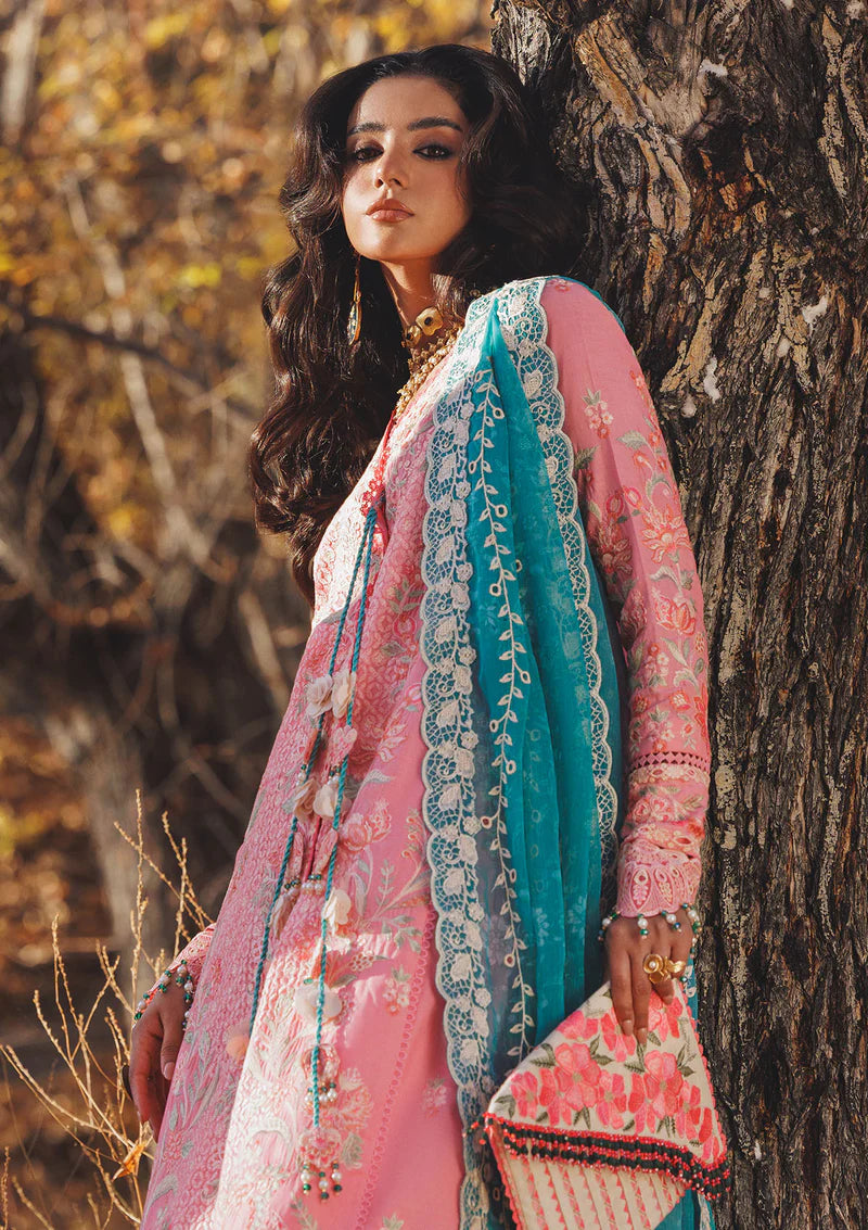 AIK LAWN  NAGAR D-06