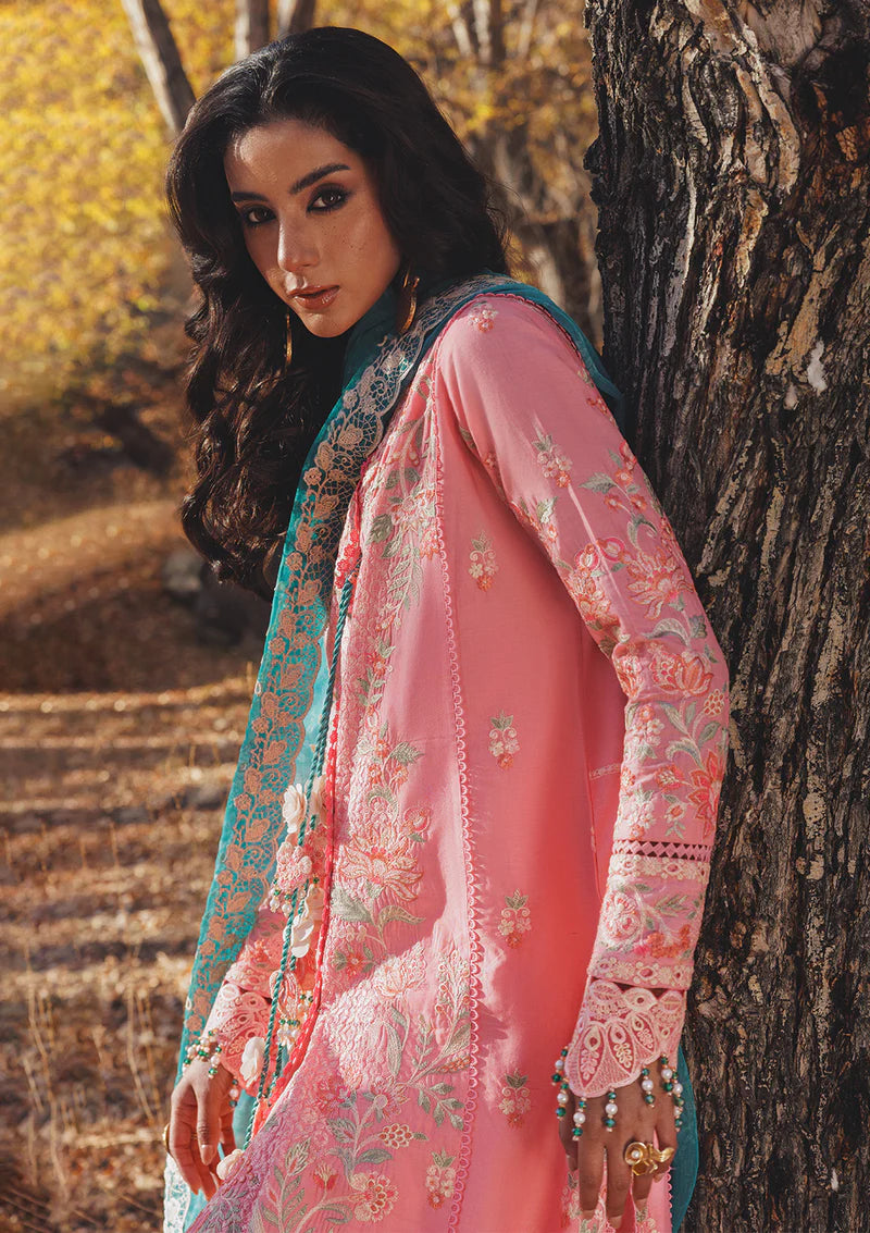 AIK LAWN  NAGAR D-06