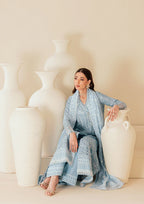 AIK LAWN B260-1B