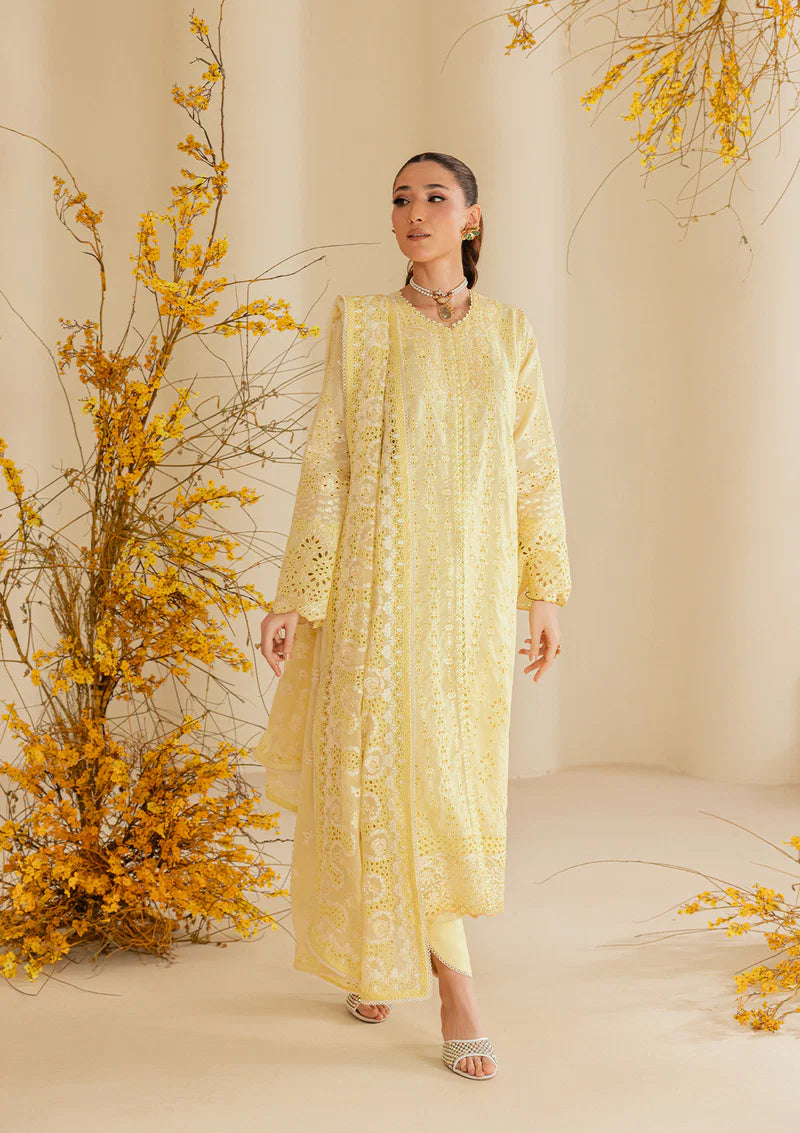 AIK LAWN B260-4A