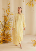 AIK LAWN B260-4A