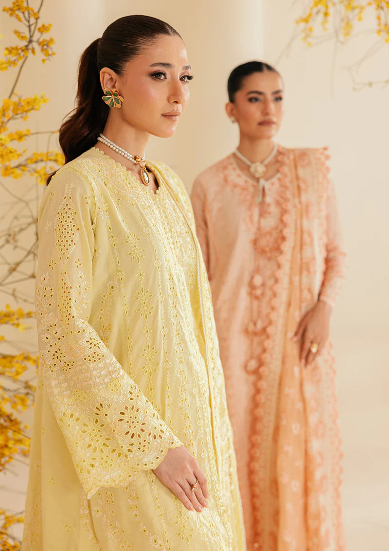AIK LAWN B260-4A
