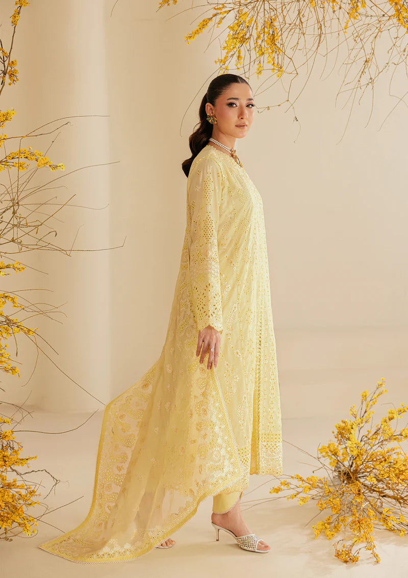 AIK LAWN B260-4A