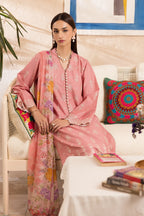 STITCHED BY CC RAJBARI NISSA SUMMER CHIKANKARI D-06 3PC