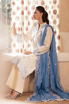 RAJBARI NISSA SUMMER CHIKANKARI D-02
