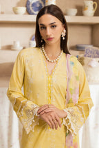 RAJBARI NISSA SUMMER CHIKANKARI D-03