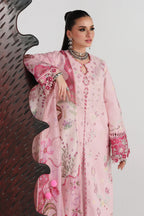 QALAMKAR FESTIVE NORAH