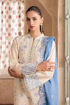 RAJBARI NISSA SUMMER CHIKANKARI D-02
