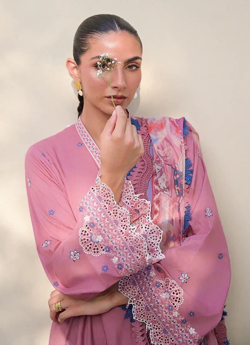 IMAGE PALOMA