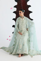 QALAMKAR FESTIVE SABEL