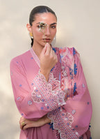 IMAGE PALOMA
