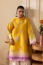 RAJBARI NISSA EXCLUSIVE SUMMER PRINTS  D-01