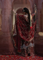 HUSSAIN REHAR APSARA