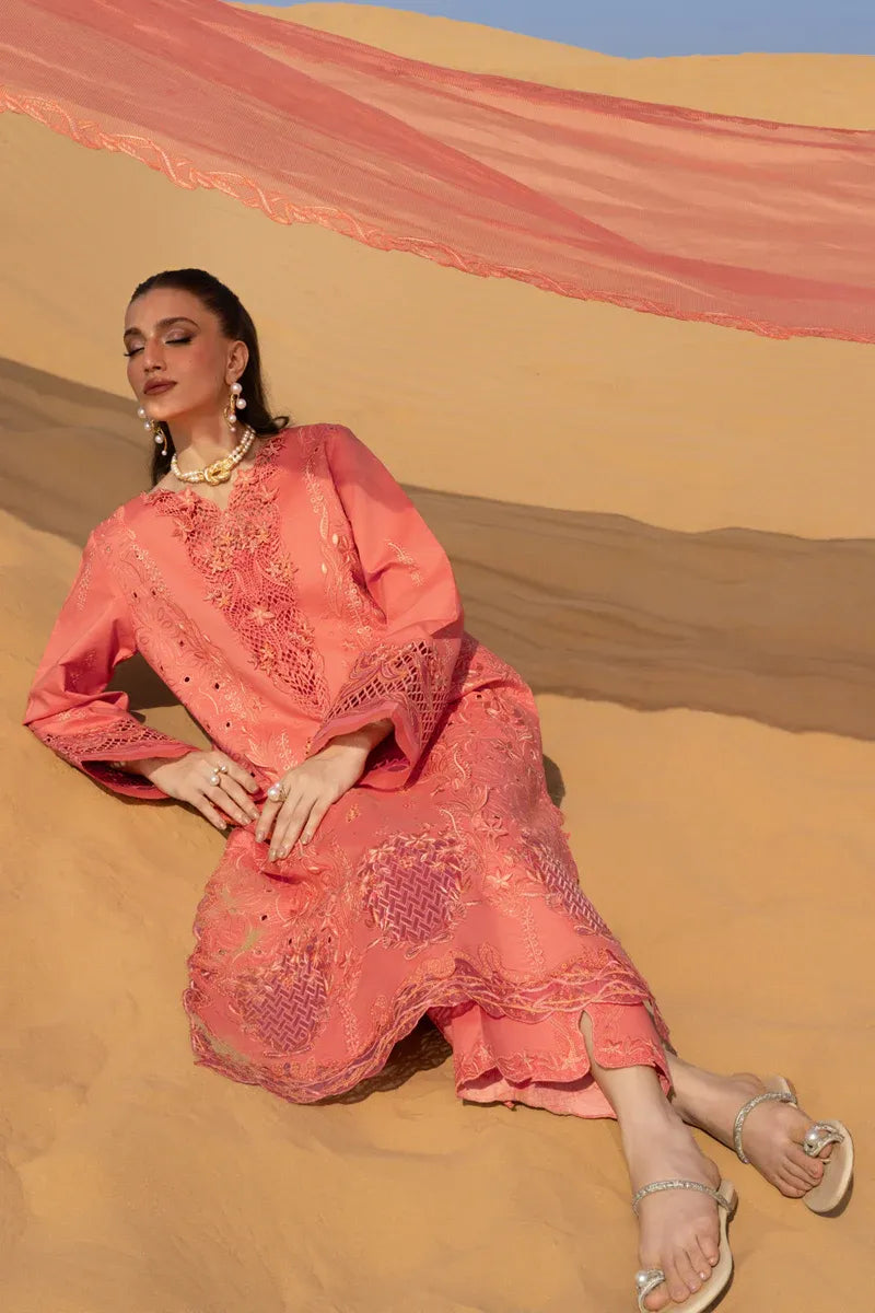 RANG RASIYA PREMIUM COLLECTION ELNAZ