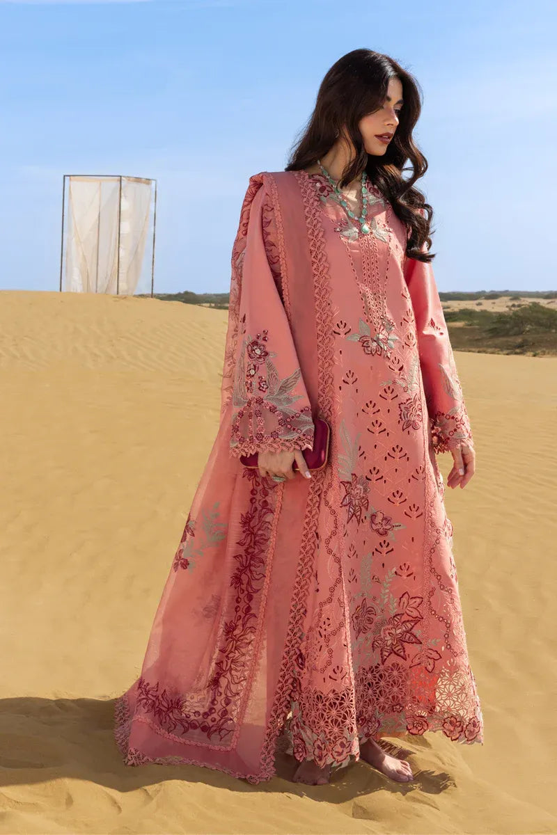 RANG RASIYA PREMIUM COLLECTION AMANI